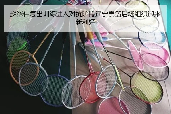 赵继伟复出训练进入对抗阶段辽宁男篮后场组织迎来新利好